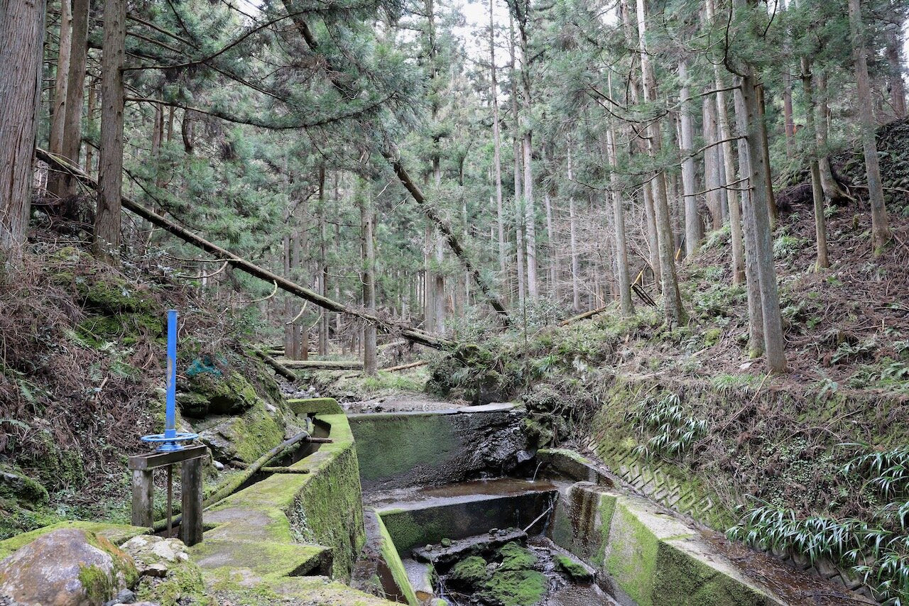Tatsumi Distillery – Black Market Sake