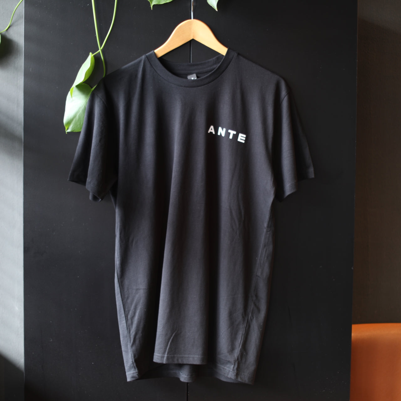 ANTE T-Shirt (Black)