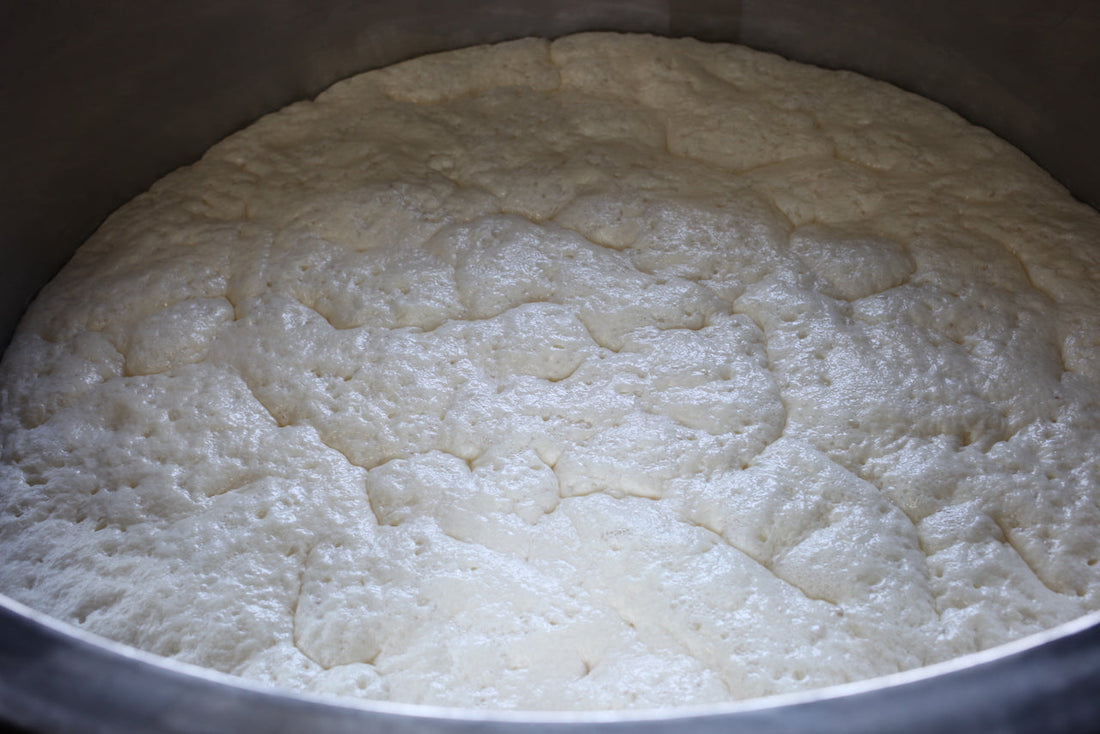Yamahai ferment