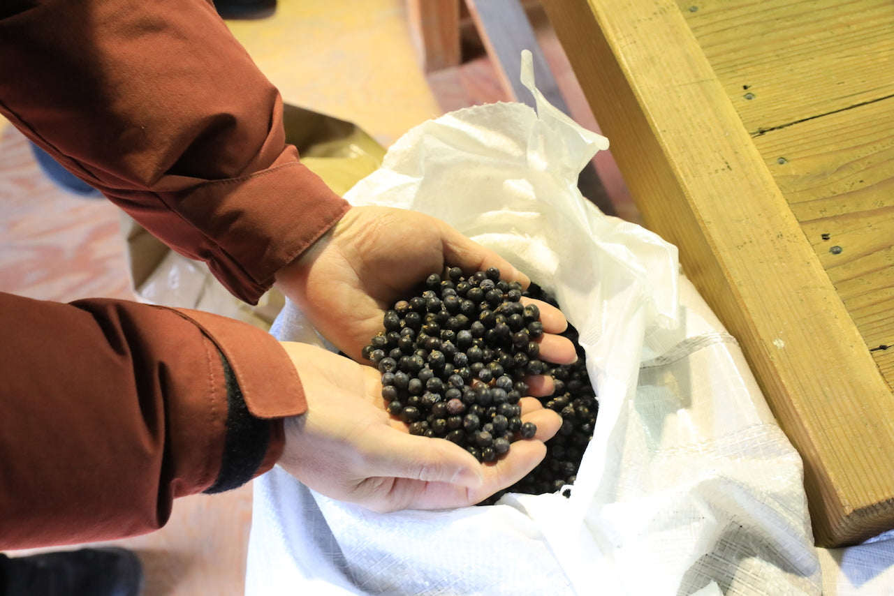 Tatsumi Distillery – Black Market Sake